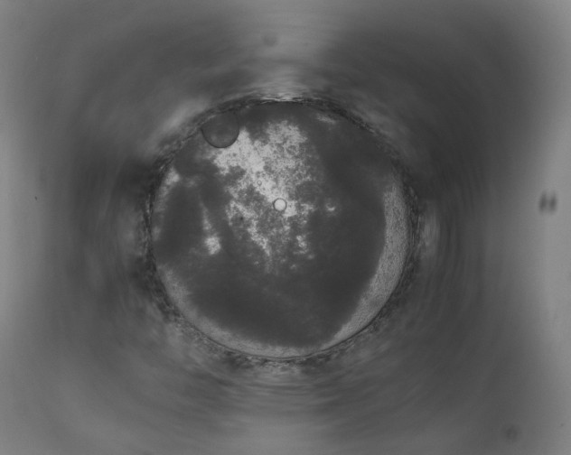 X0000111371446200907171146