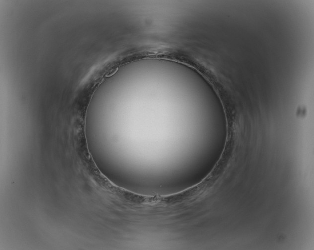 X0000111371447200907171146