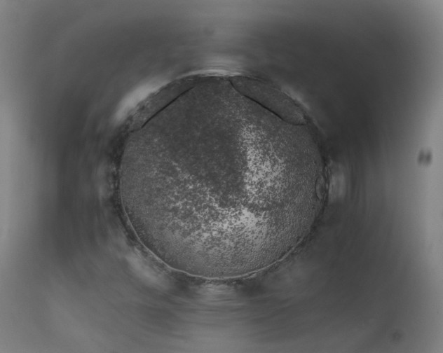 X0000111371448200907171146