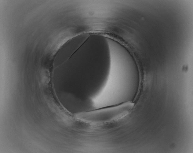 X0000111371449200907171146