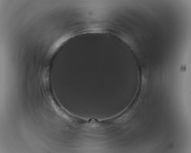 X0000111371450200907171146