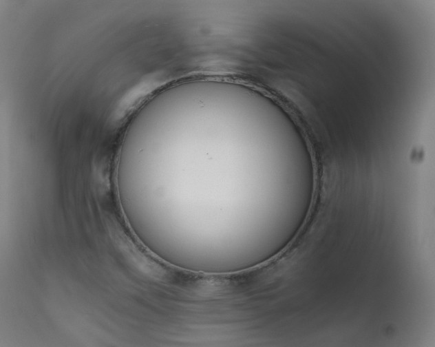 X0000111371451200907171146