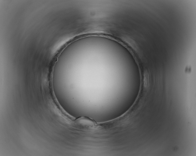 X0000111371452200907171146