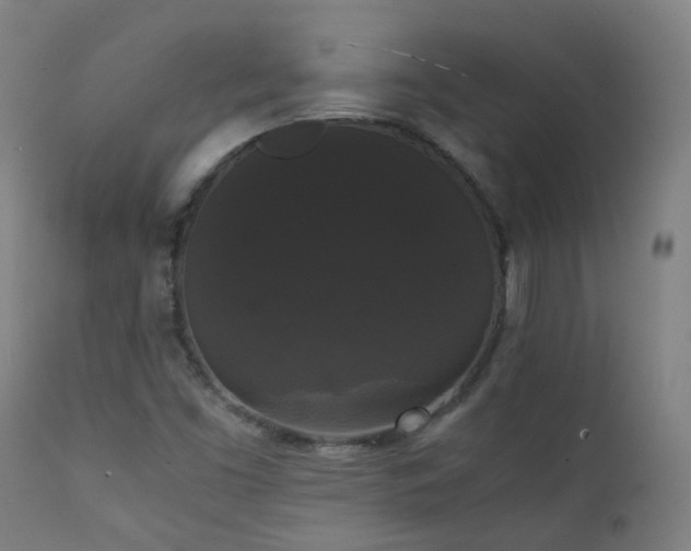 X0000111371453200907171146