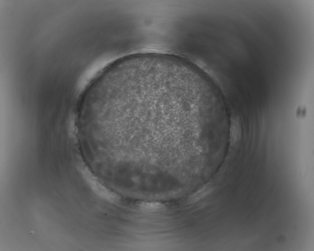 X0000111371454200907171146