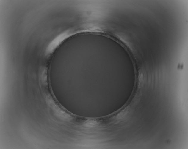 X0000111371455200907171146