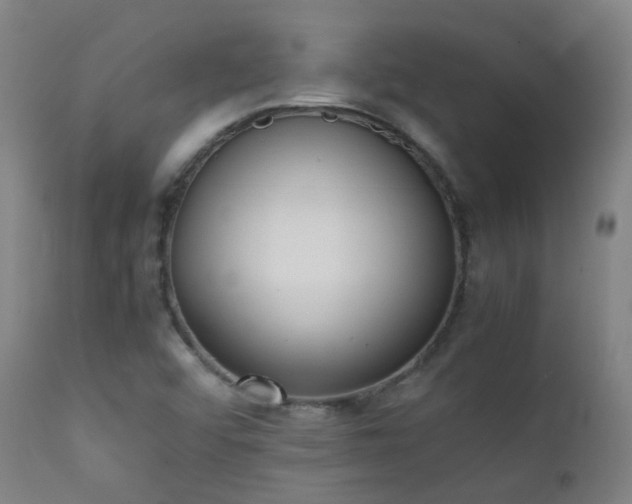 X0000111371456200907171146