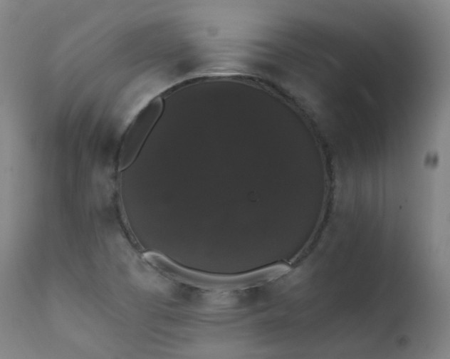 X0000111371457200907171146