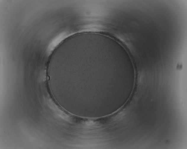 X0000111371459200907171146