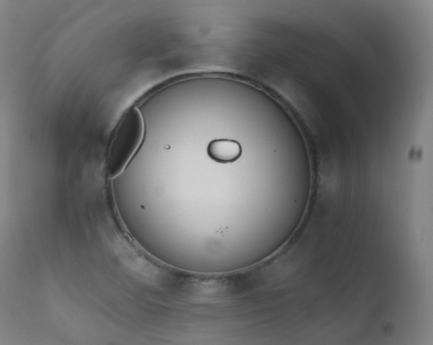 X0000111371460200907171146