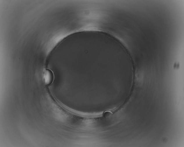 X0000111371461200907171146