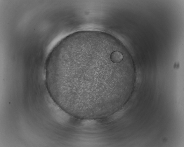 X0000111371462200907171146