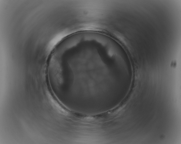 X0000111371463200907171146