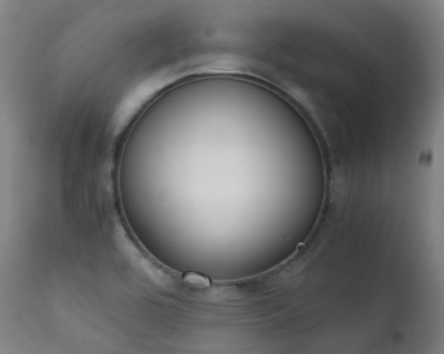 X0000111371464200907171146