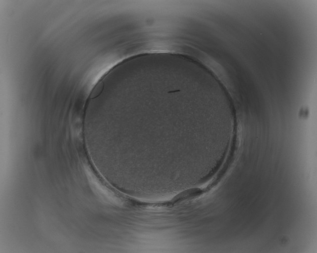 X0000111371465200907171146