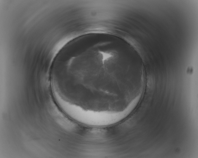 X0000111371466200907171146