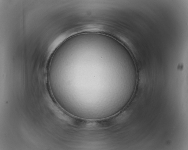 X0000111371467200907171146