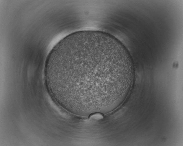 X0000111371469200907171146