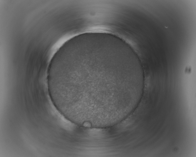 X0000111371470200907171146