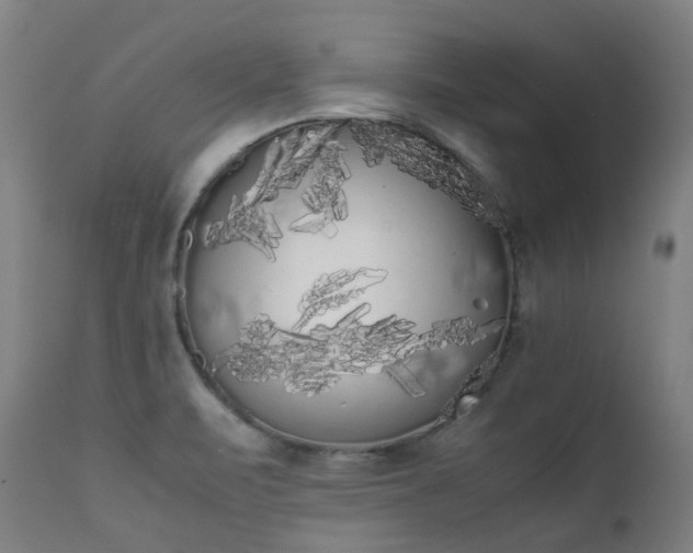 X0000111371471200907171146