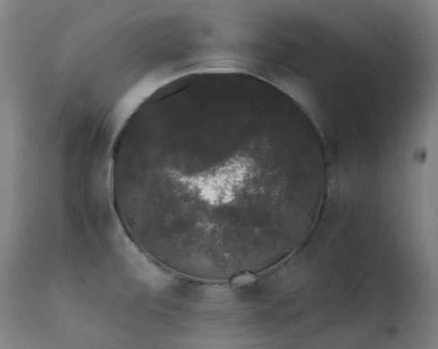 X0000111371472200907171146