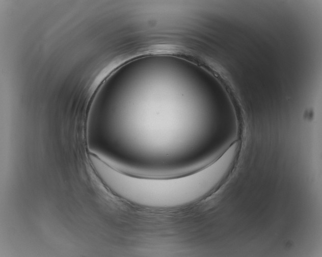 X0000111371473200907171146