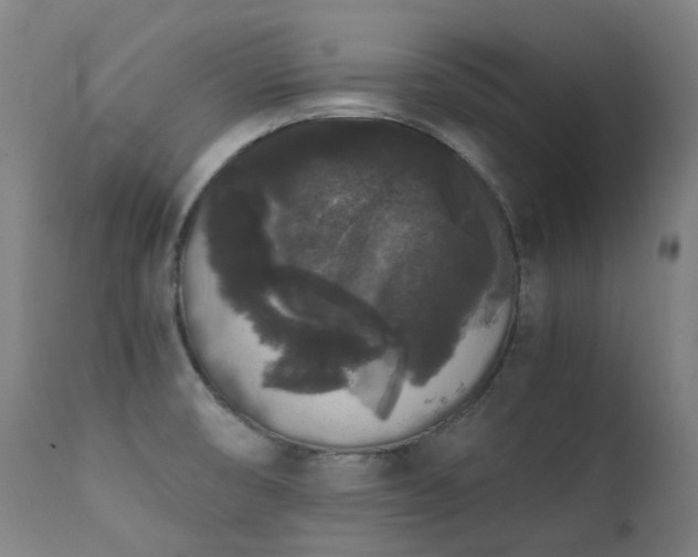 X0000111371474200907171146