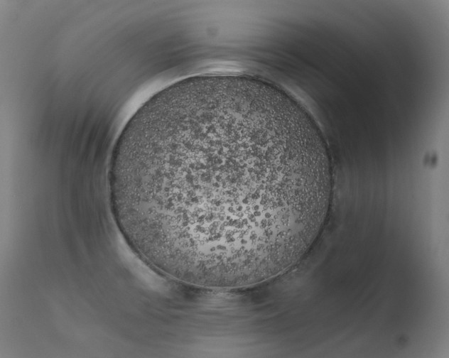 X0000111371475200907171146