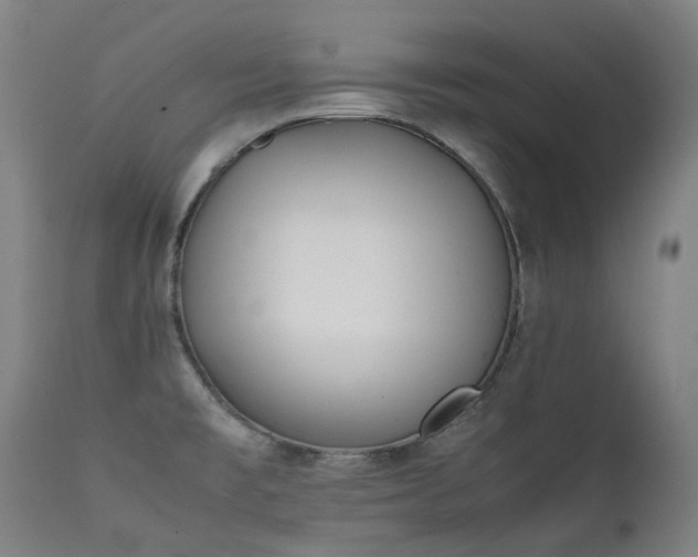 X0000111371477200907171146