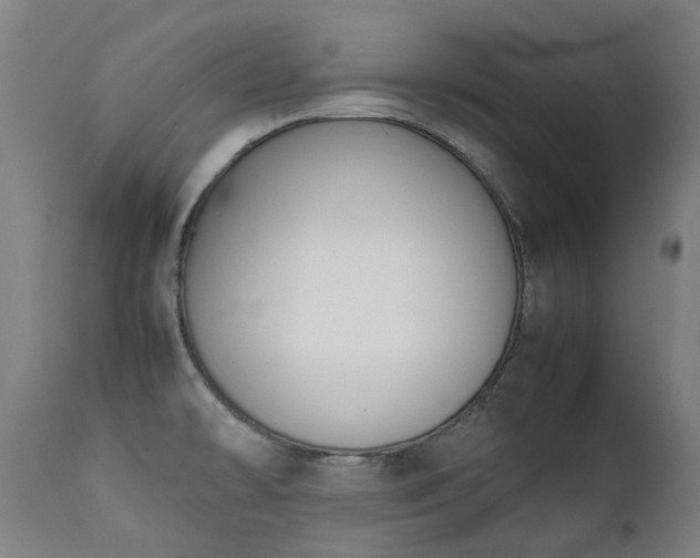 X0000111371478200907171146