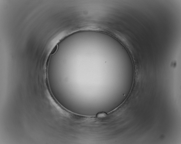 X0000111371479200907171146