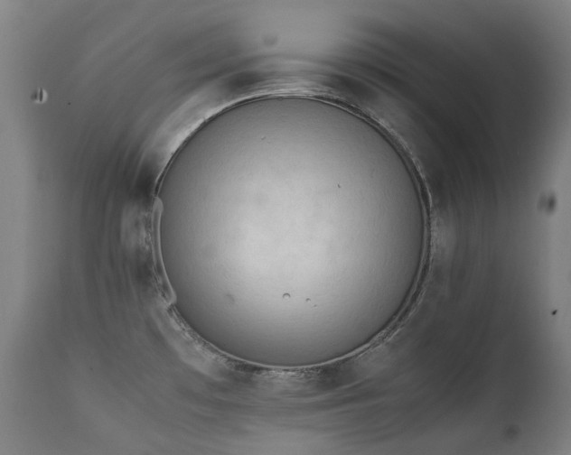 X0000111371481200907171146