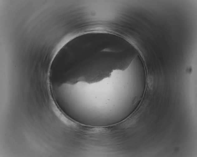 X0000111371482200907171146