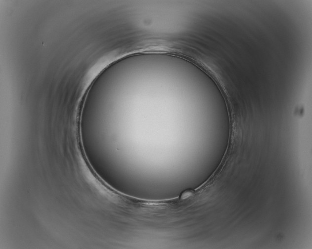 X0000111371483200907171146