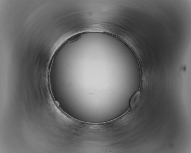 X0000111371484200907171146