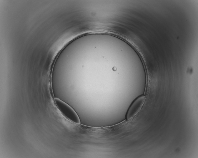 X0000111371485200907171145