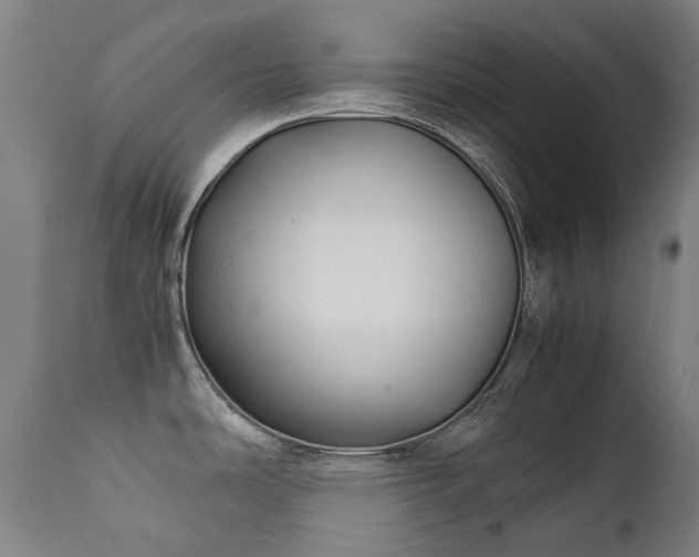 X0000111371486200907171145