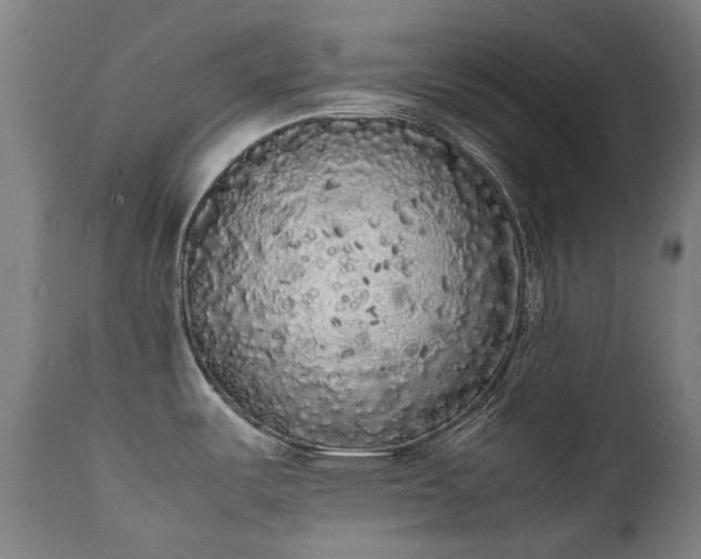 X0000111371487200907171145