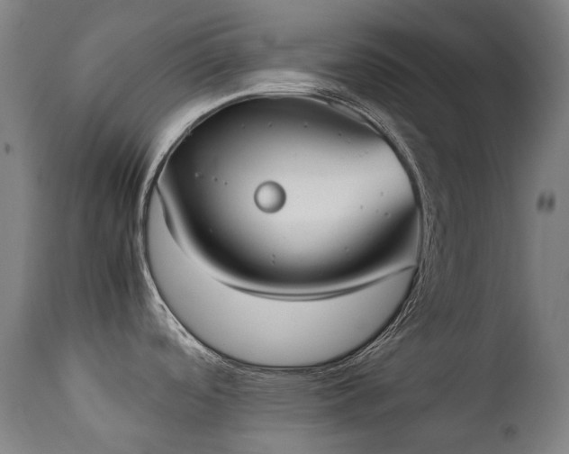 X0000111371488200907171145