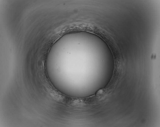 X0000111371489200907171145