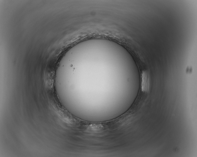 X0000111371491200907171145