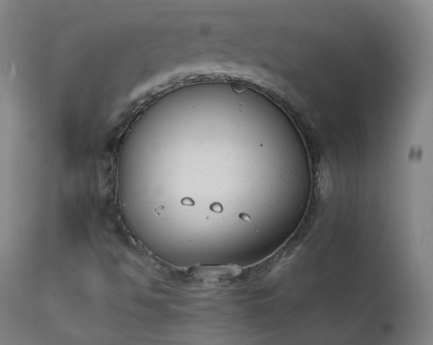 X0000111371494200907171145