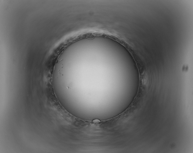 X0000111371495200907171145