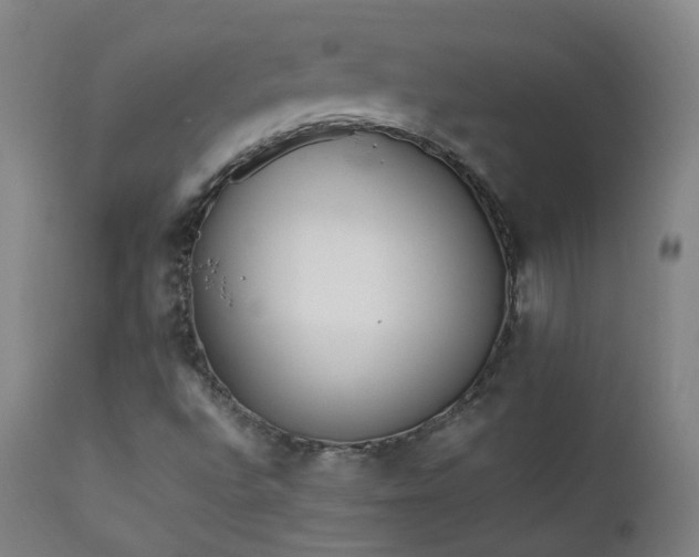 X0000111371496200907171145