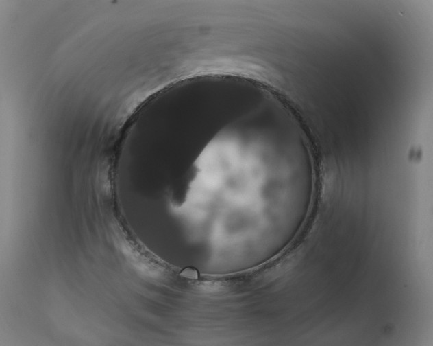 X0000111371497200907171145