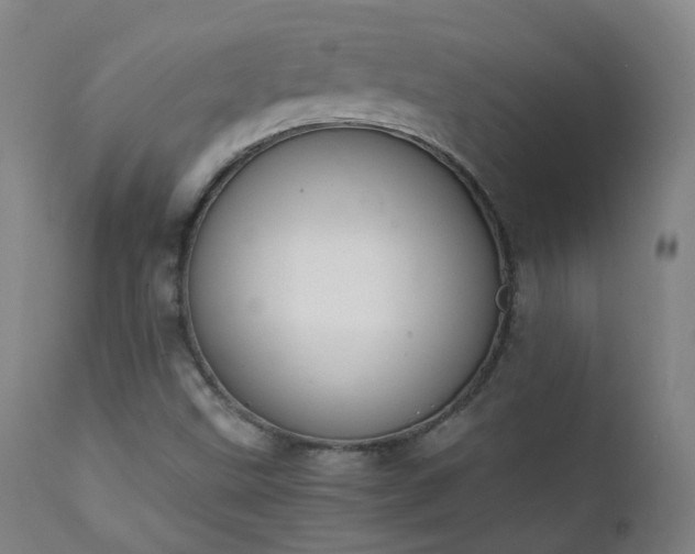 X0000111371499200907171145