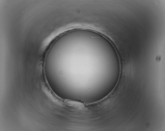 X0000111371503200907171145