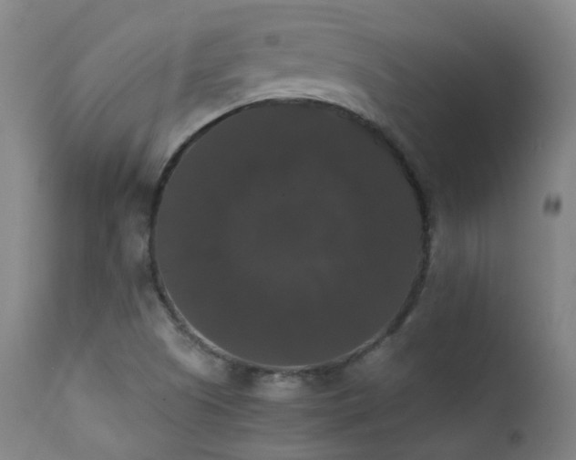 X0000111371505200907171145