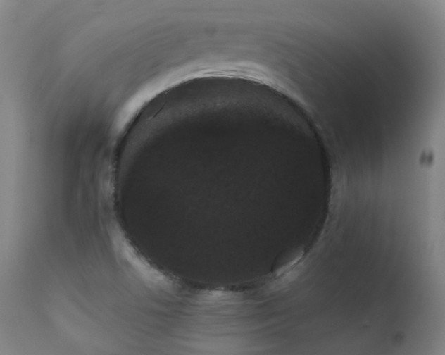 X0000111371506200907171145