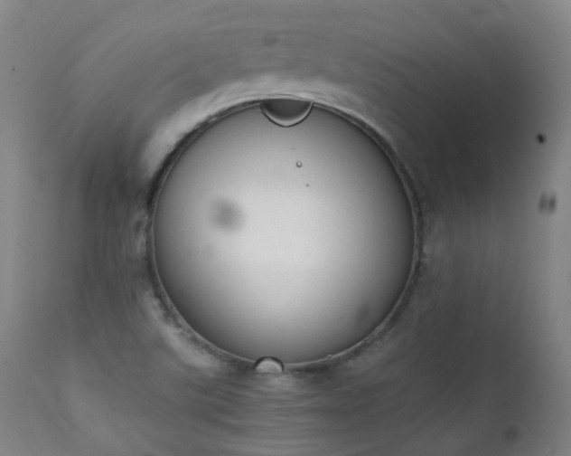 X0000111371507200907171145